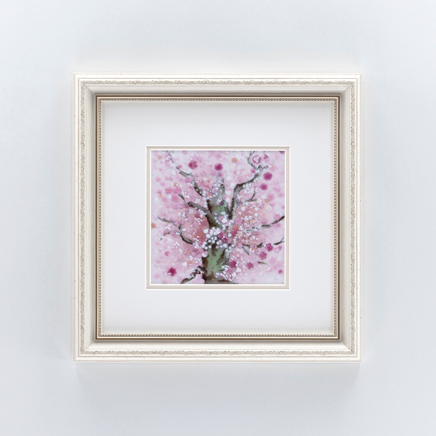 桜(白)