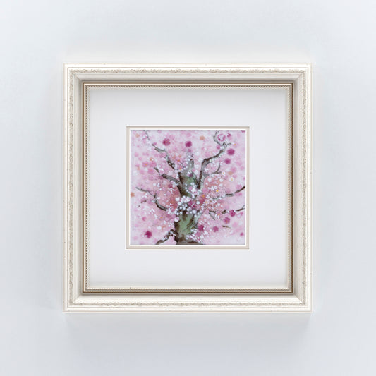 桜（白）