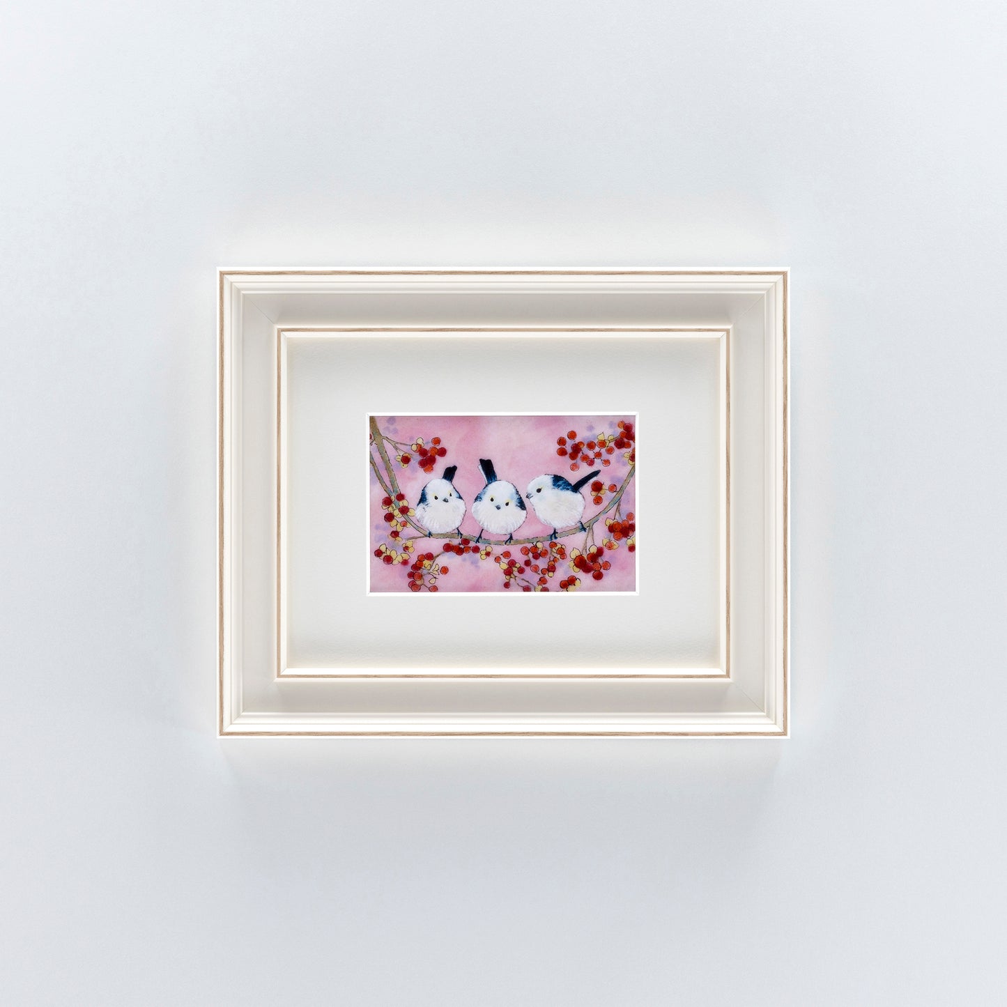 シマエナガ（白額）