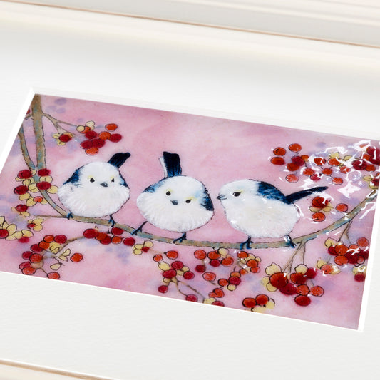 シマエナガ（白額）